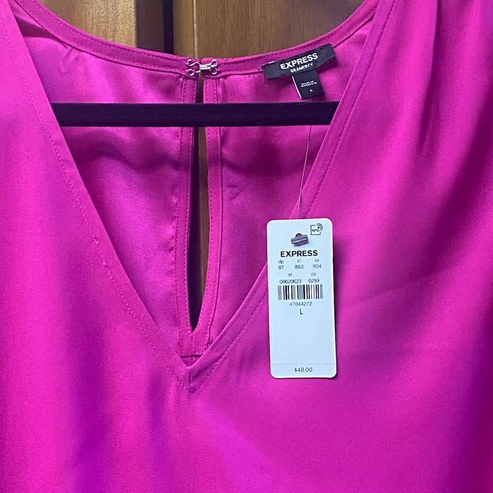 Express Fuchsia V-Neck Blouse